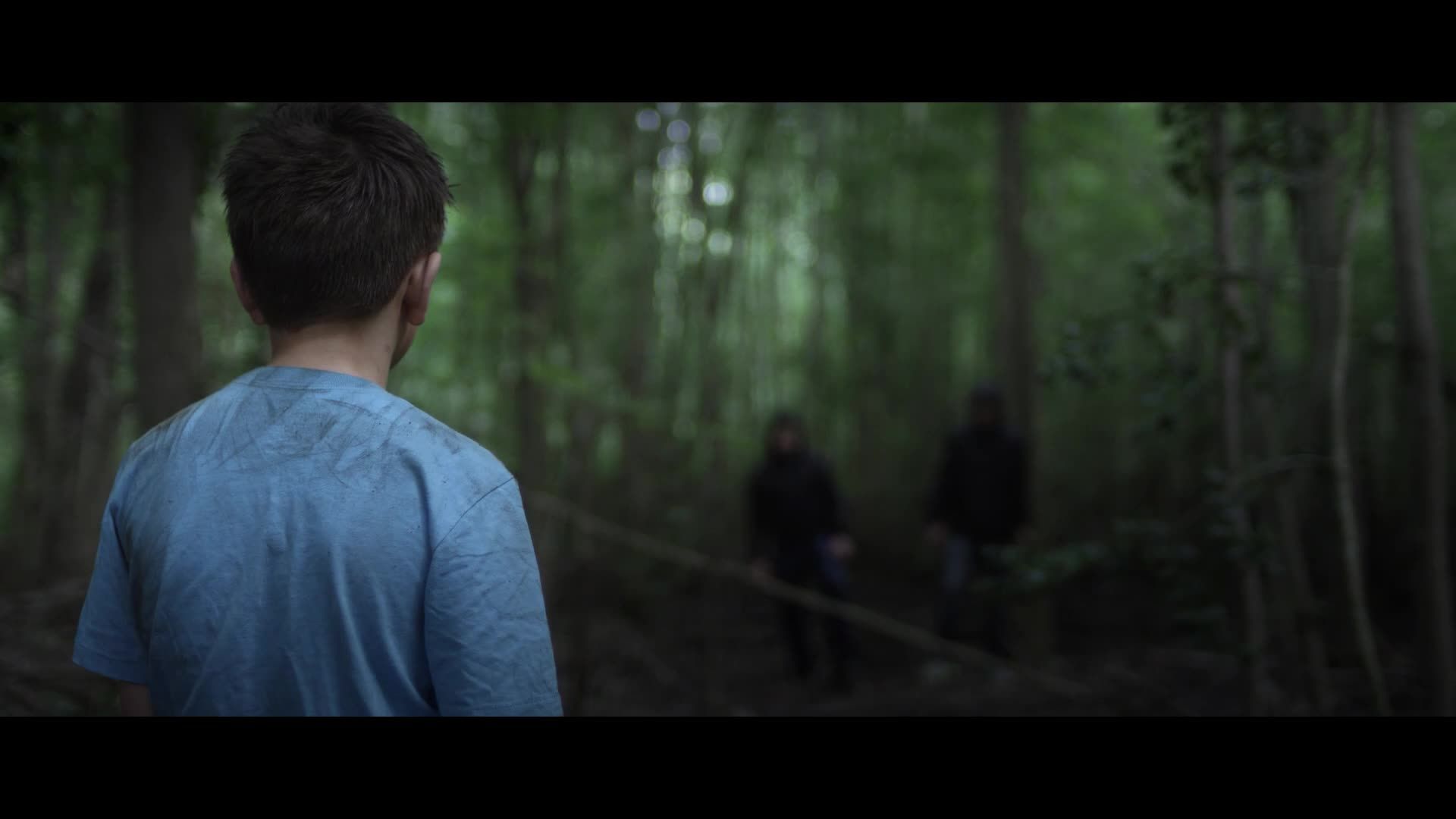 Fawn - Director's Cut