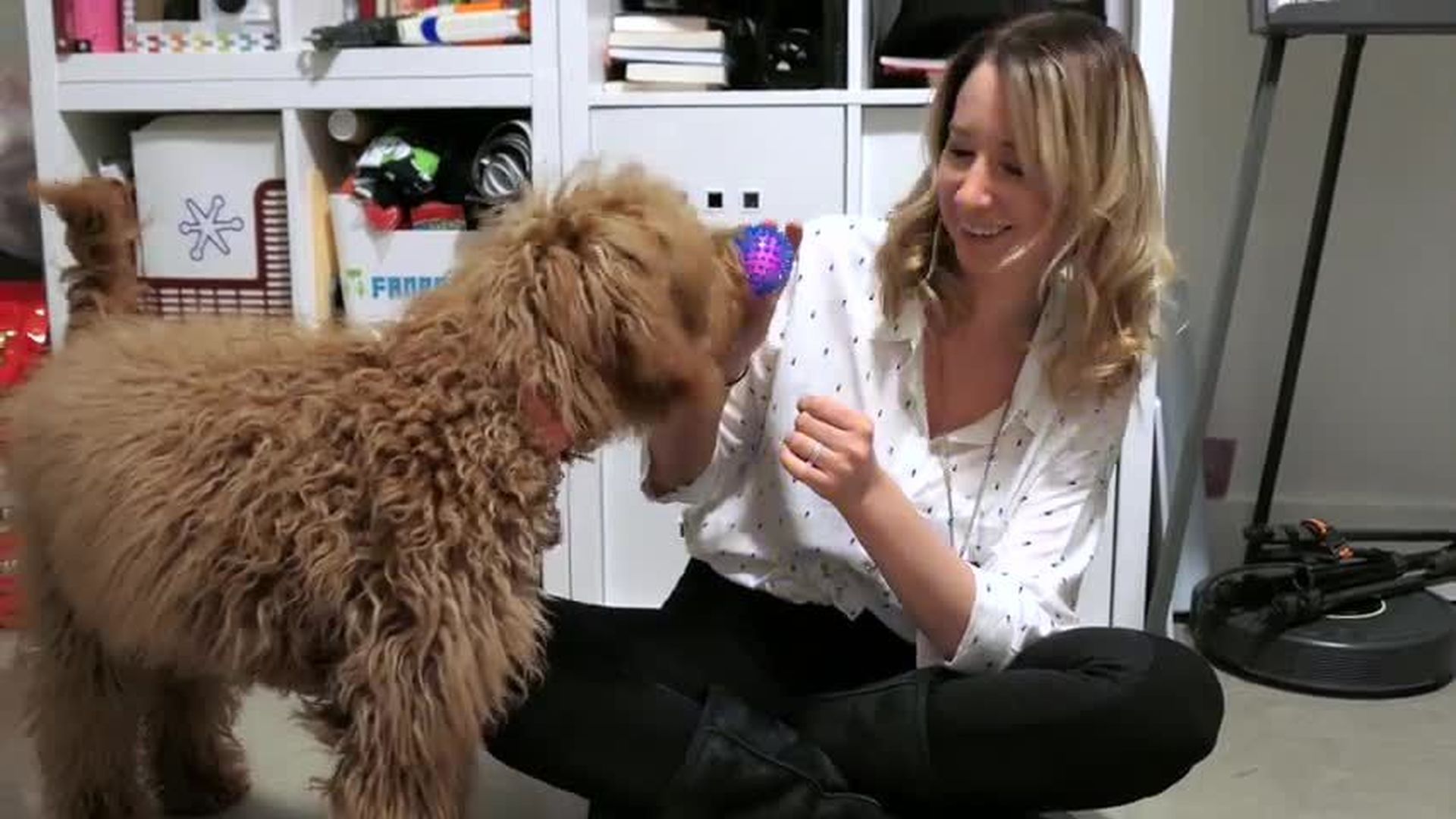 FanBark Unboxing: The Dapper Dog Box "Ready For Summer" Review