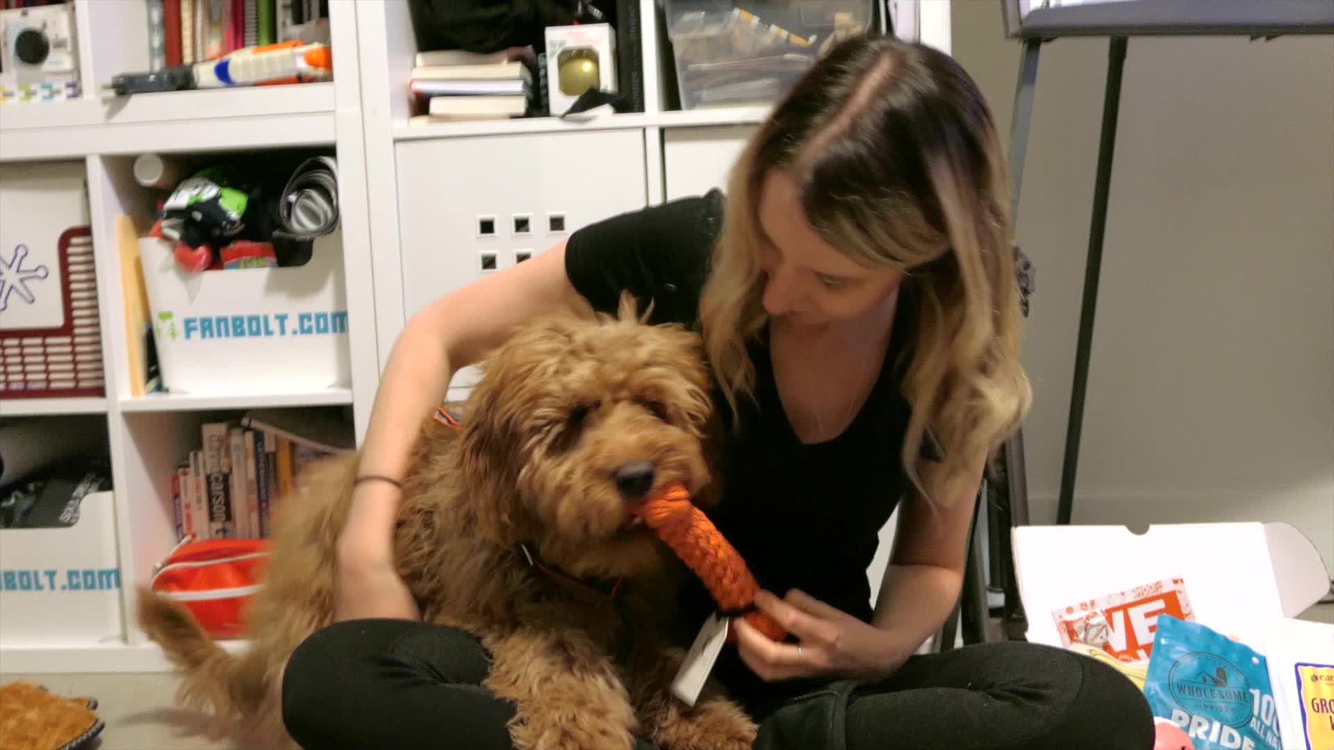 FanBark Unboxing: ShaggySwag Box Review