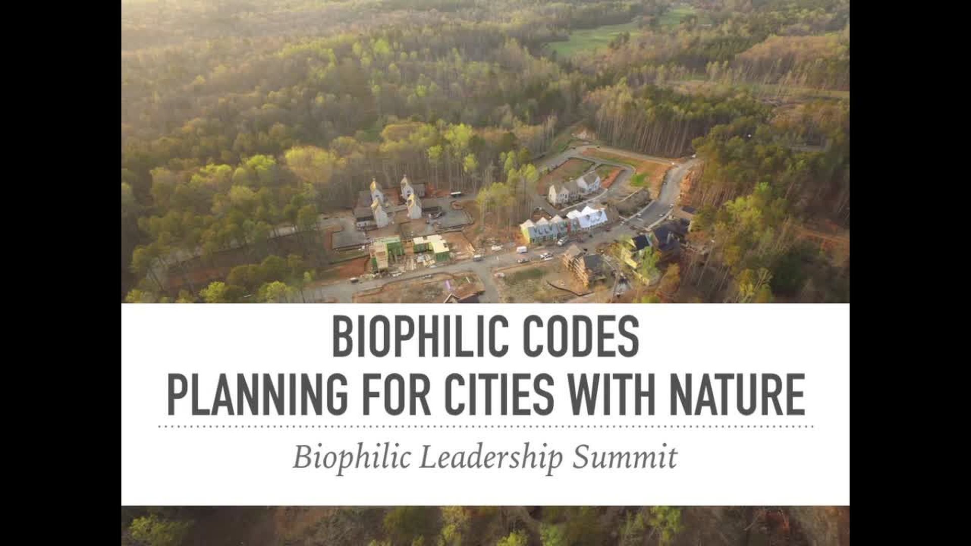 Biophilic Codes: Planning for Cities with Nature