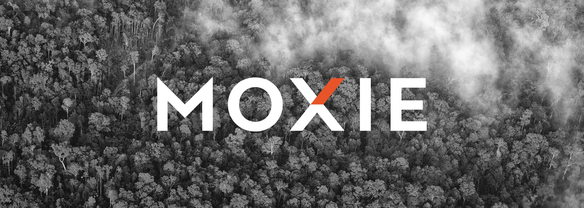 Moxie