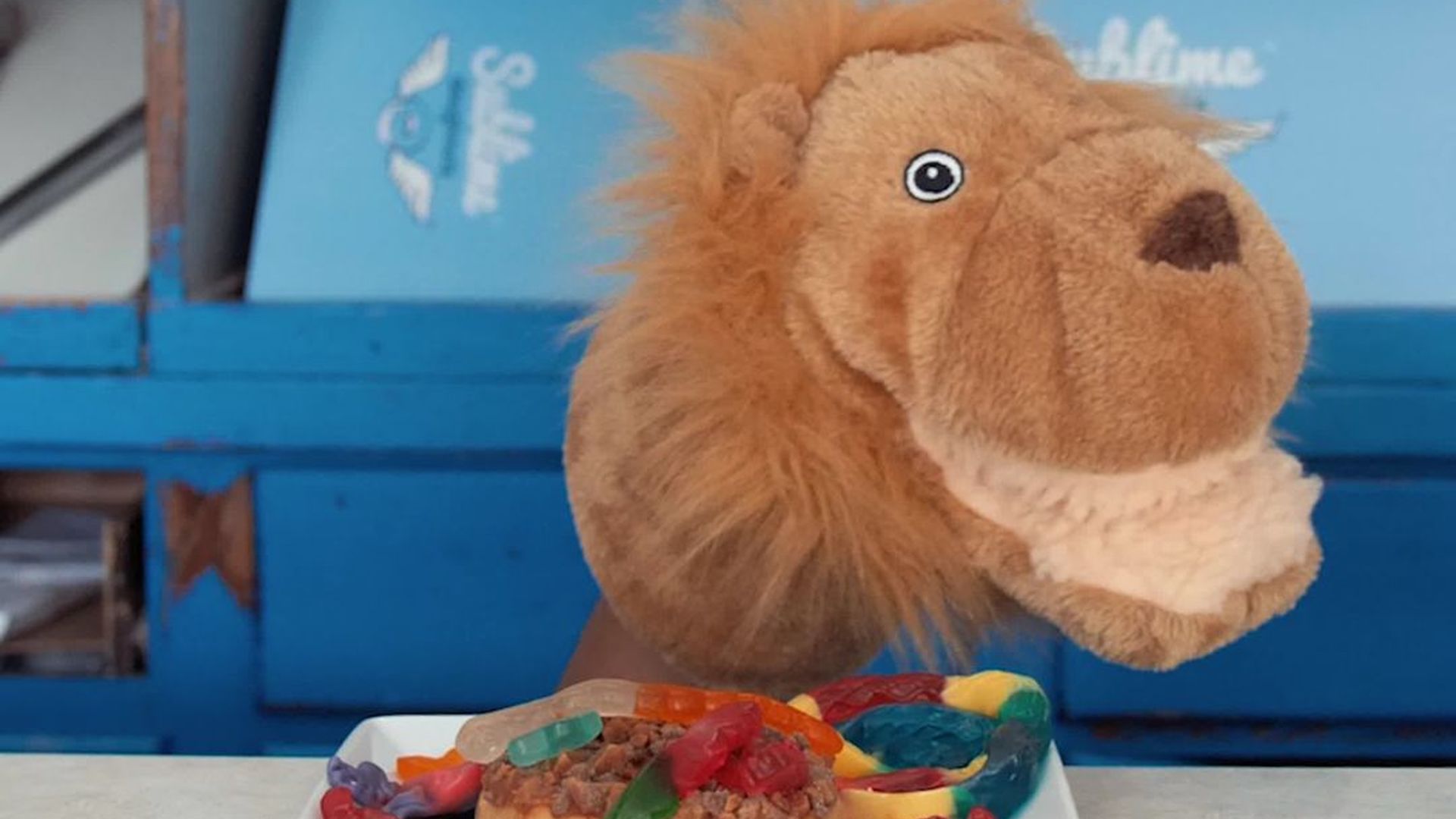 Sublime Doughnuts: The Lion King