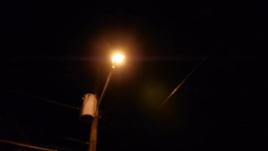 FLUX 2010