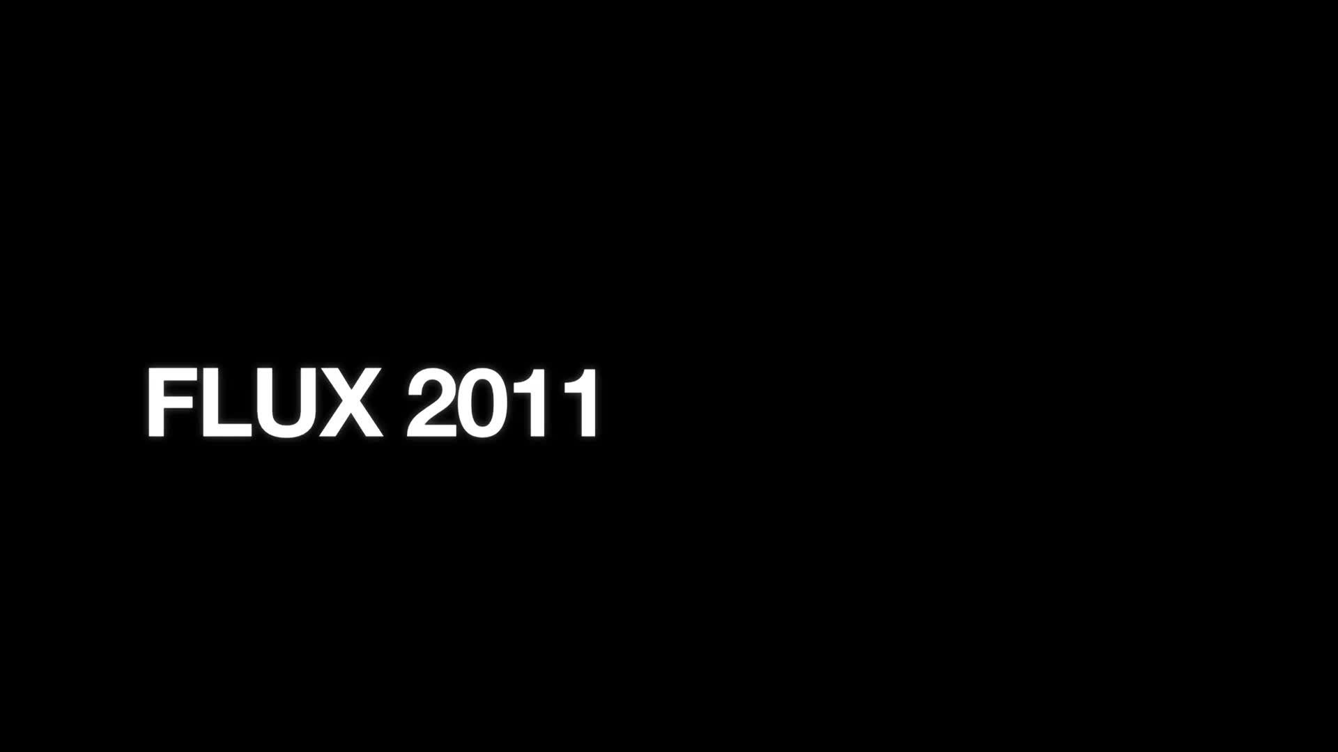 FLUX 2011